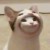 lucky_sound_b9c