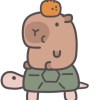cc