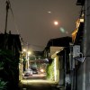 夜晚的精靈