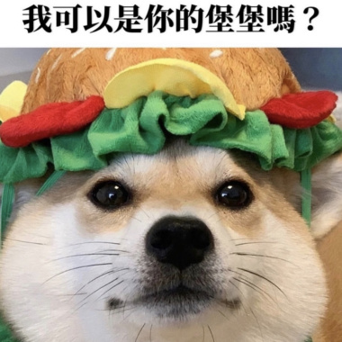 慢慢喜歡妳— cover by 堡堡犬