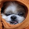 zzzzz