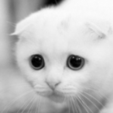 心情吉他 抒發短曲