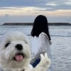 李
