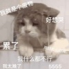 小岛喜欢冰可乐