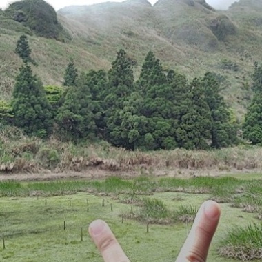 無殼烏龜