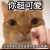 劉佑