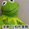 青蛙