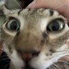 Charlie