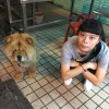 木子人言