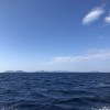 自由的海