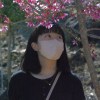 abao_1208