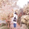 ada_shih