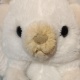 yun_c