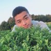 啊瑋