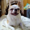 阿火