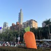 早起的鳥兒有蟲吃