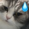 纟丩599