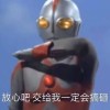 一天两杯koi