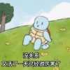 双面煎荷包蛋