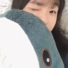 aileesheep