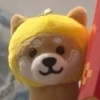 羊駝