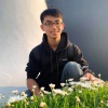 albert20001007