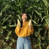 栗鼠
