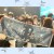 Lin.yu_12