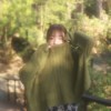 綠 alü