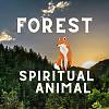 生靈物動 Forest spiritual animal