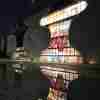 amity__yang