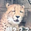木鬼