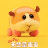 本丸shen