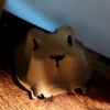 辭辭