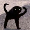 iamszu