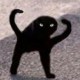 iamszu