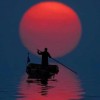 andrew_yu