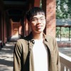 怕樹的人