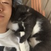 ang也叫蛋哥哥