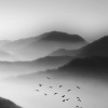 水雪昂