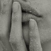 anir_