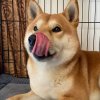 我好可愛