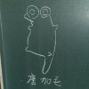 加毛毛毛毛