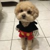 安平