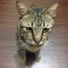 黃和敬