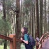 小巴