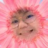 蝦