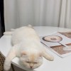 aqiu