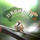 日春島嶼合作社 arkproject