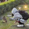 林